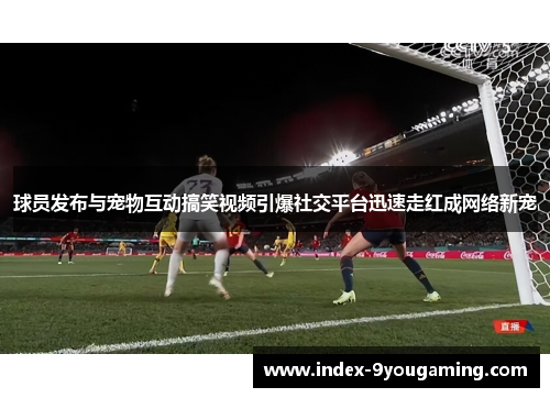 球员发布与宠物互动搞笑视频引爆社交平台迅速走红成网络新宠