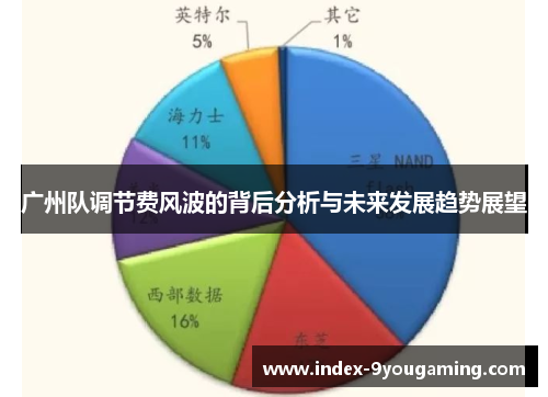 广州队调节费风波的背后分析与未来发展趋势展望