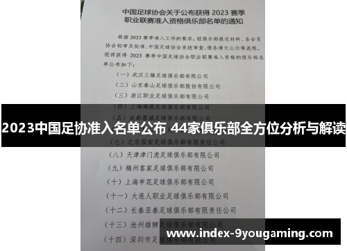 2023中国足协准入名单公布 44家俱乐部全方位分析与解读