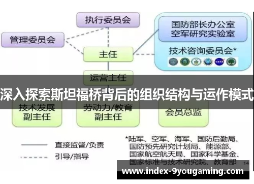 深入探索斯坦福桥背后的组织结构与运作模式