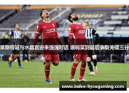 莱斯特城与水晶宫迎来强强对话 谁将笑到最后争取关键三分