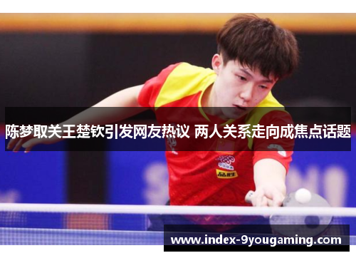陈梦取关王楚钦引发网友热议 两人关系走向成焦点话题