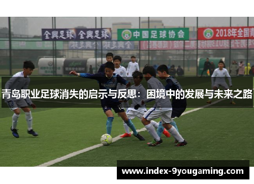 青岛职业足球消失的启示与反思：困境中的发展与未来之路