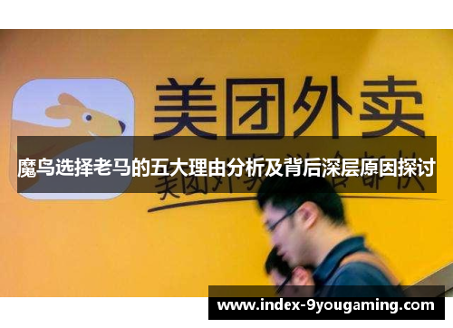 魔鸟选择老马的五大理由分析及背后深层原因探讨