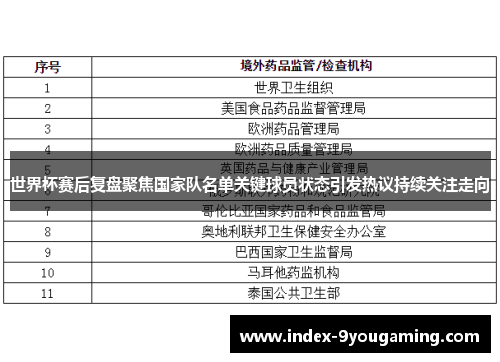 世界杯赛后复盘聚焦国家队名单关键球员状态引发热议持续关注走向