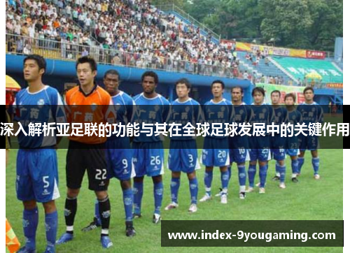 深入解析亚足联的功能与其在全球足球发展中的关键作用